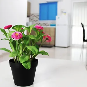 Duplex Comfort Ларнака